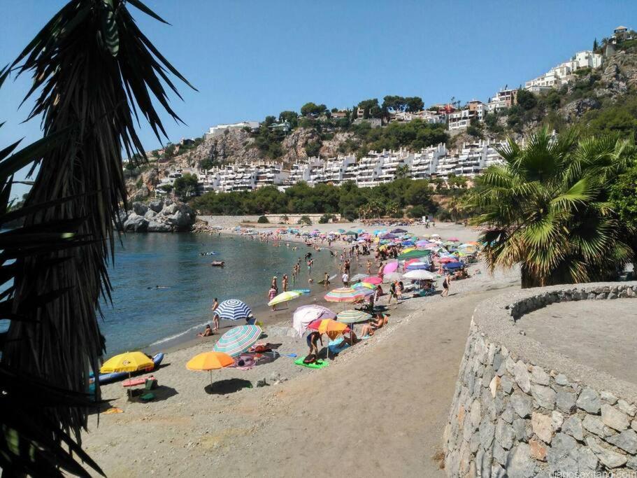 Pushe Marina Del & Sport 2